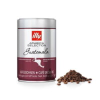 Illy Arabica Selection Guatemala