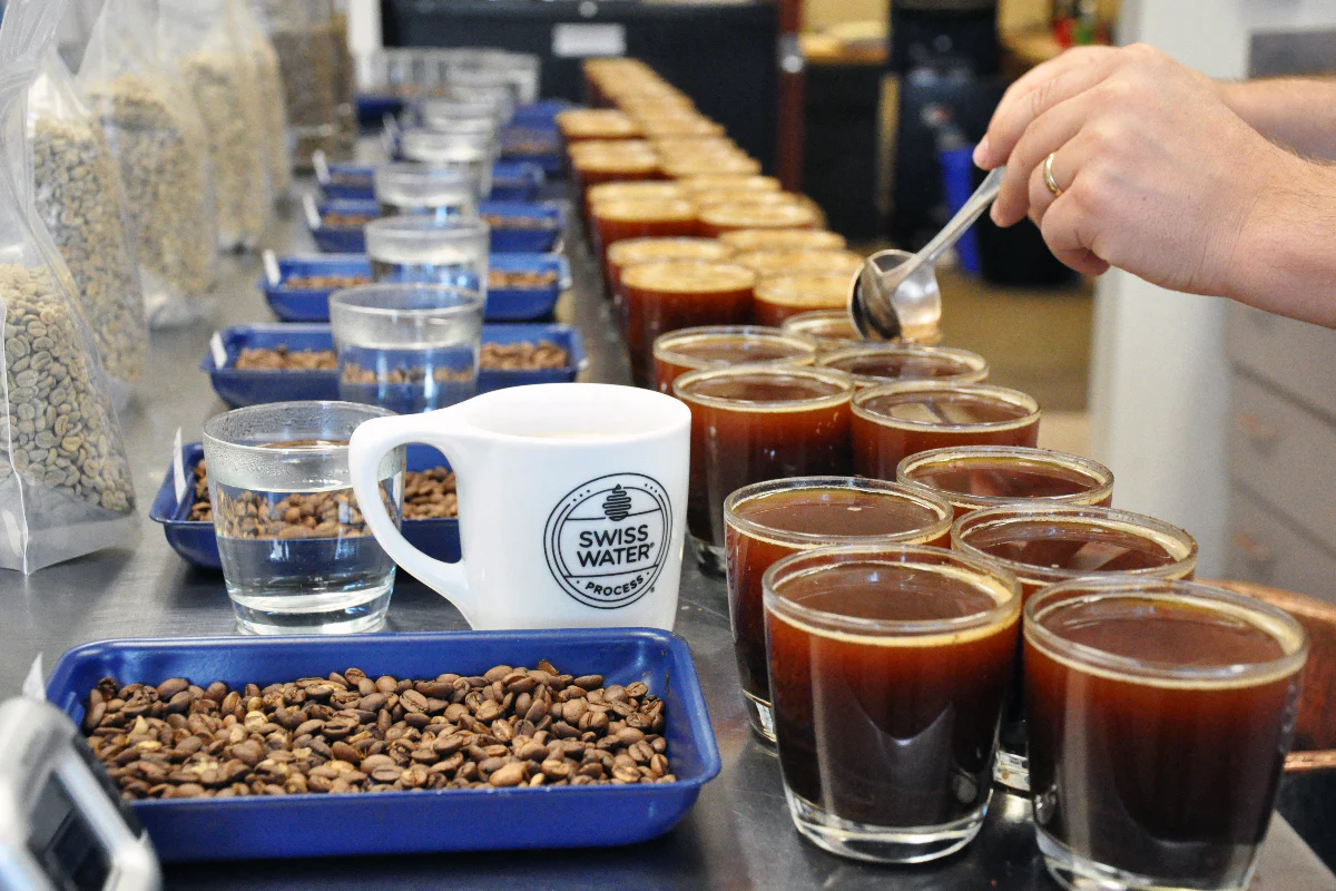 Proces nastanka kafe bez kofeina