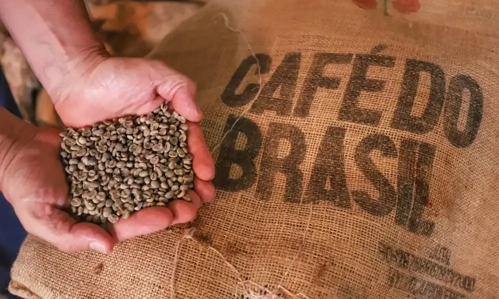 Brazil single origin espresso kafa
